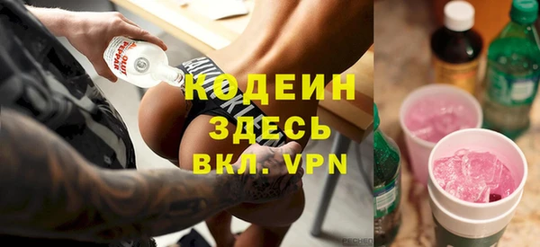 гашик Россошь