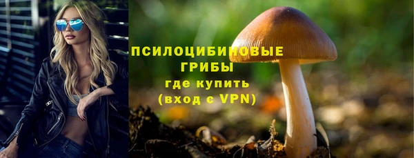 apvp Алексеевка