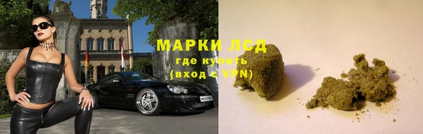 молекула духа Аркадак
