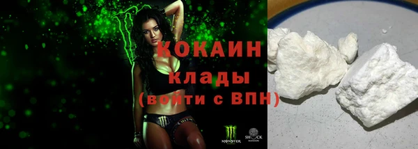 прущие грибы Армянск