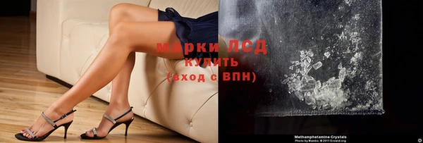 прущие грибы Армянск