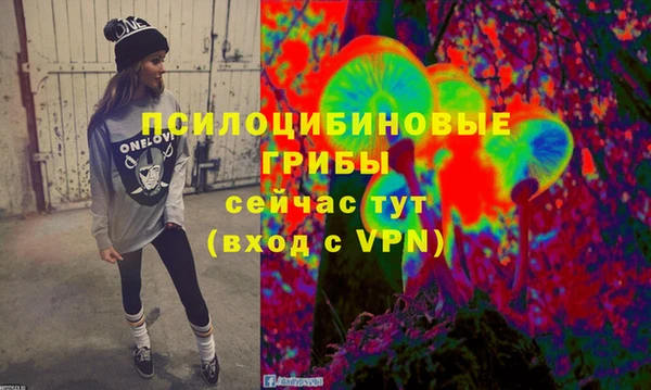 прущие грибы Армянск