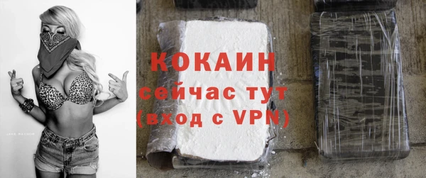 прущие грибы Армянск