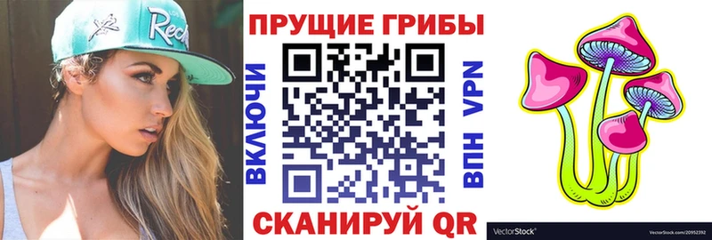 мега как войти  Бавлы  Псилоцибиновые грибы мухоморы 